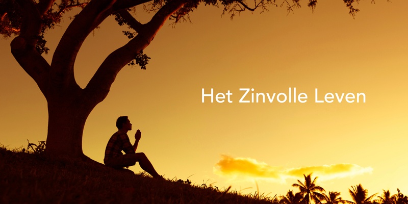 2016048-tips-in-beeld2-5