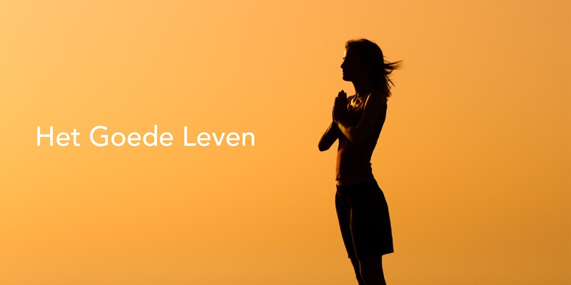 2016048-tips-in-beeld4-4